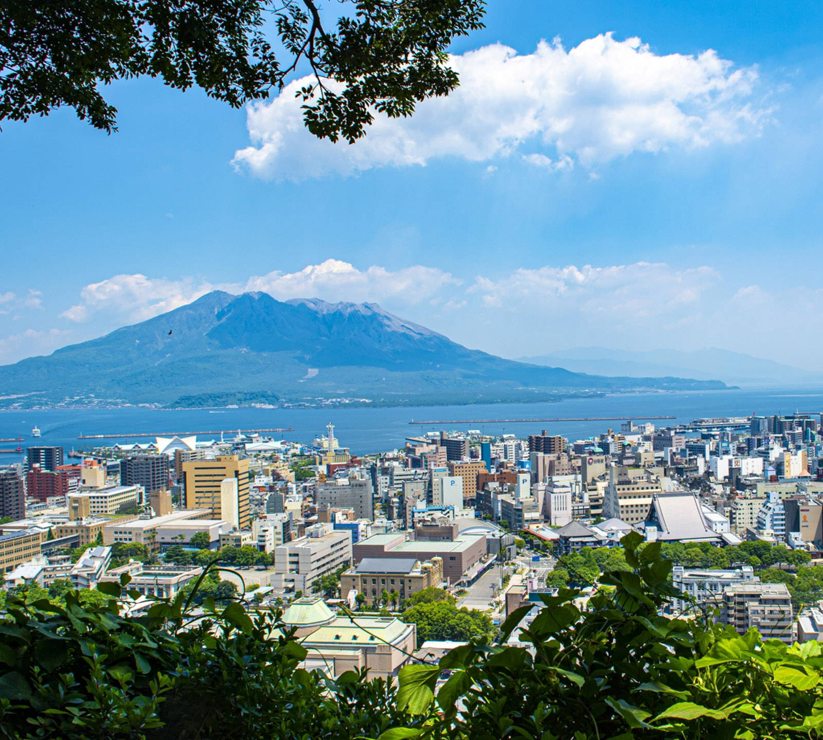 鹿児島市に密着したファイナンシャルプランナー